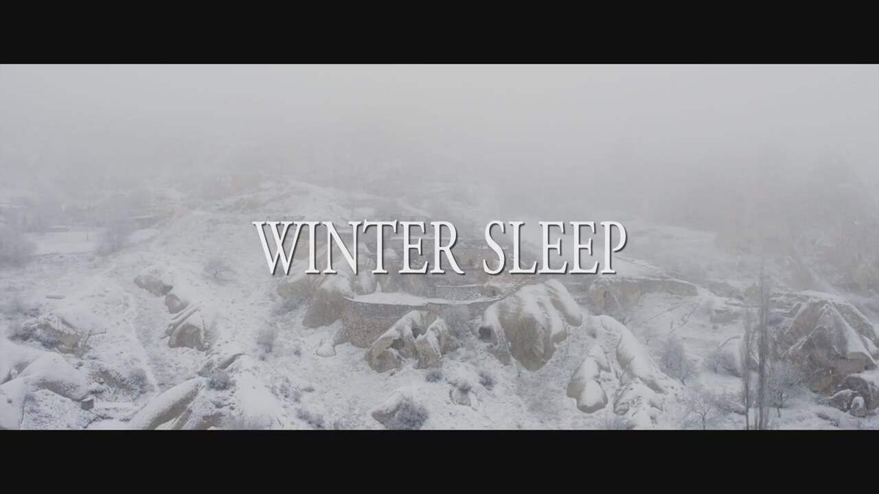 Winter Sleep (2014)