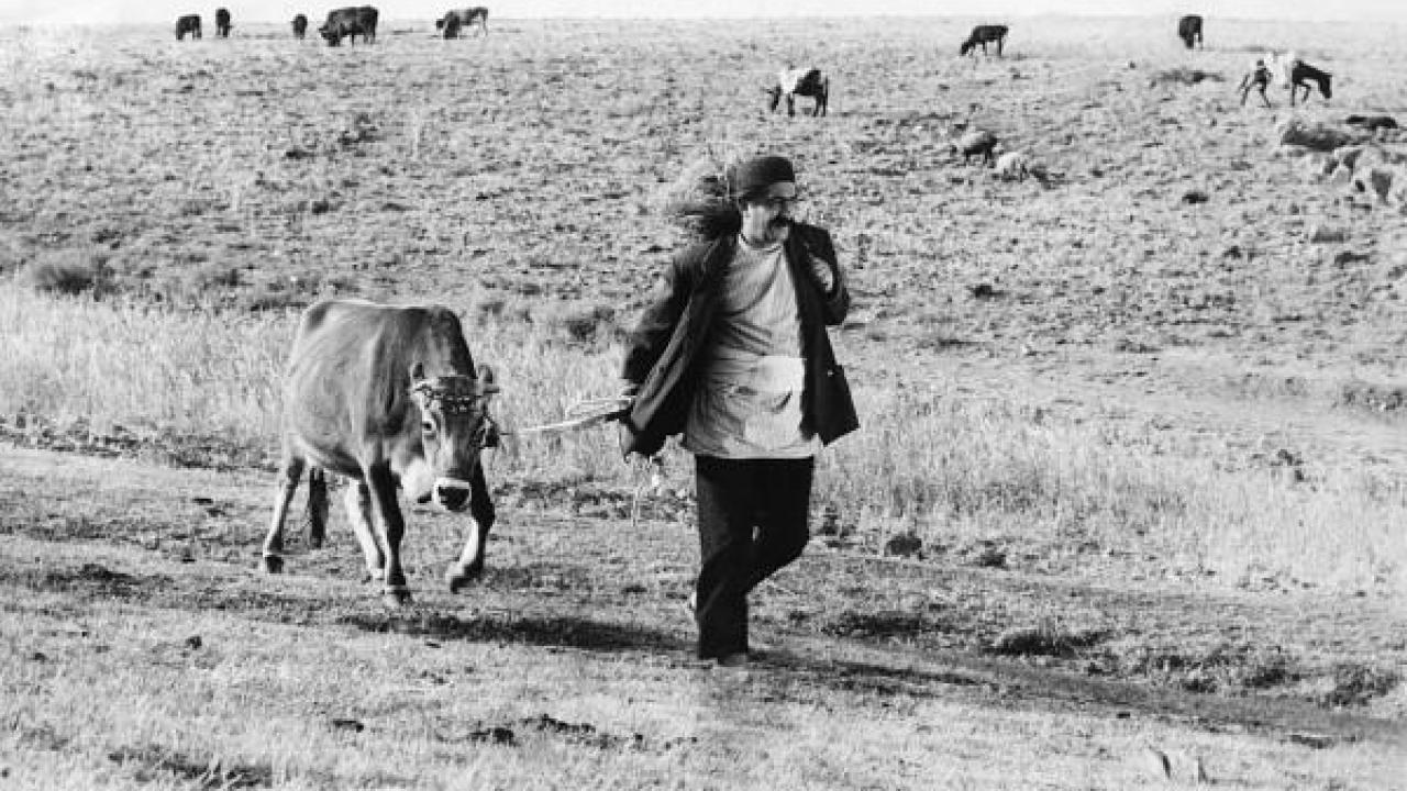 The Cow (1969)