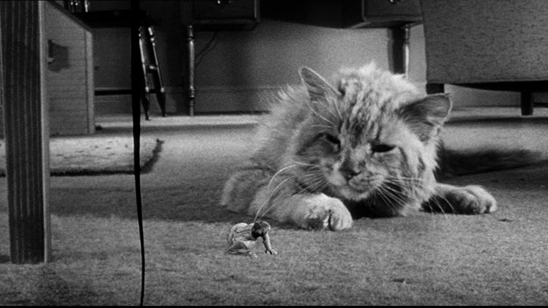 The Incredible Shrinking Man Movie Review