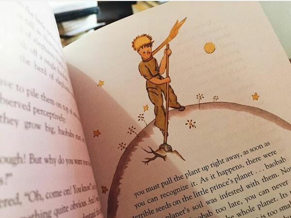 From the Page to the Screen – The Little Prince