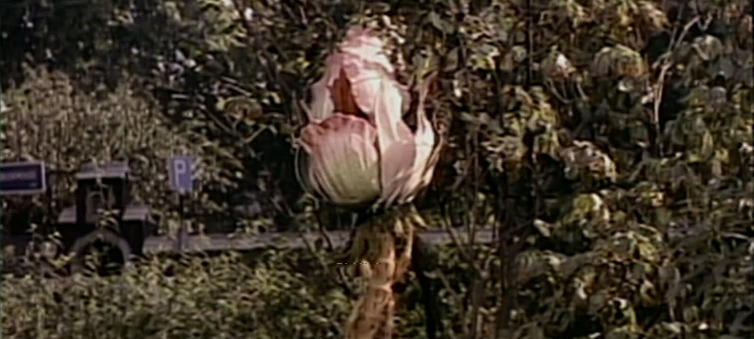 The Day of the Triffids Movie Review