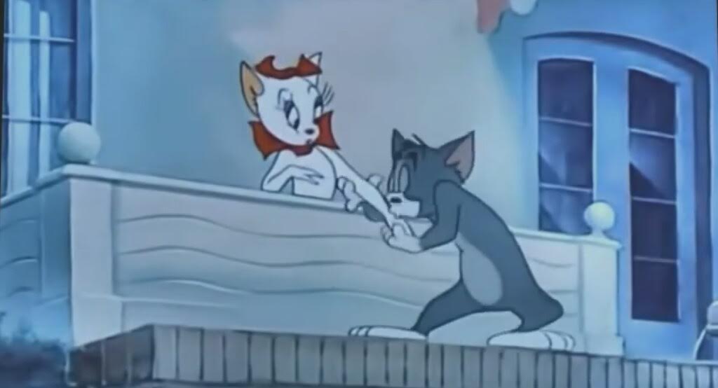 Smarty Cat (1955)