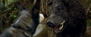 Hunt for the Wilderpeople Movie Review