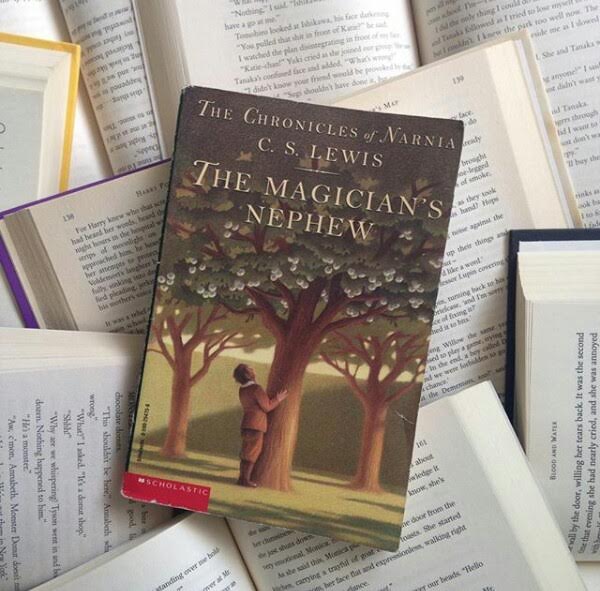 The Magician’s Nephew Book Review