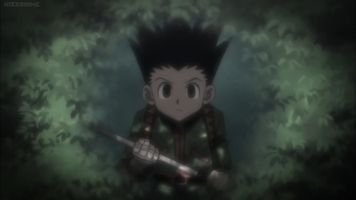 Hunter X Hunter Season 1 Review