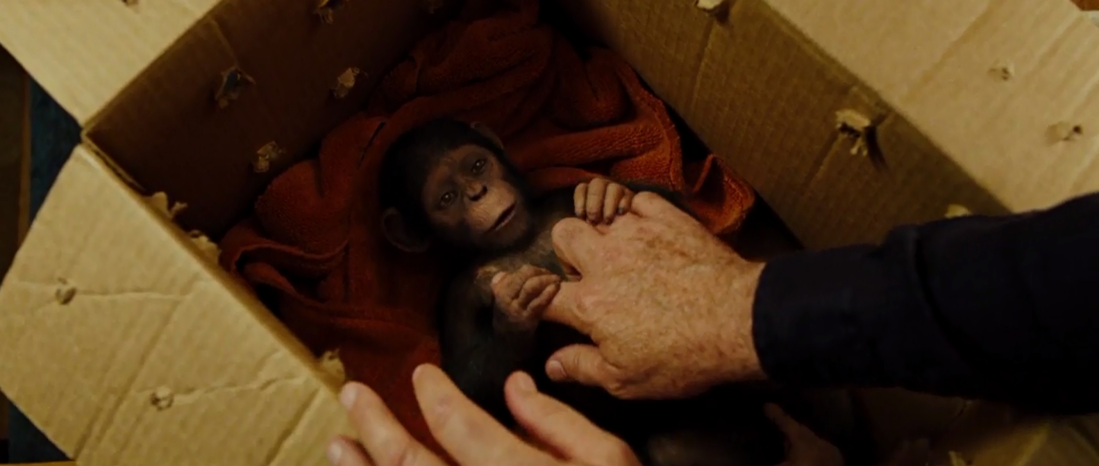 Rise of the Planet of the Apes Movie Review