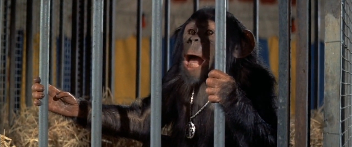 Escape from the Planet of the Apes Movie Review