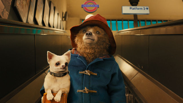 Paddington Movie Review