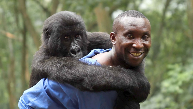 Virunga (2014)