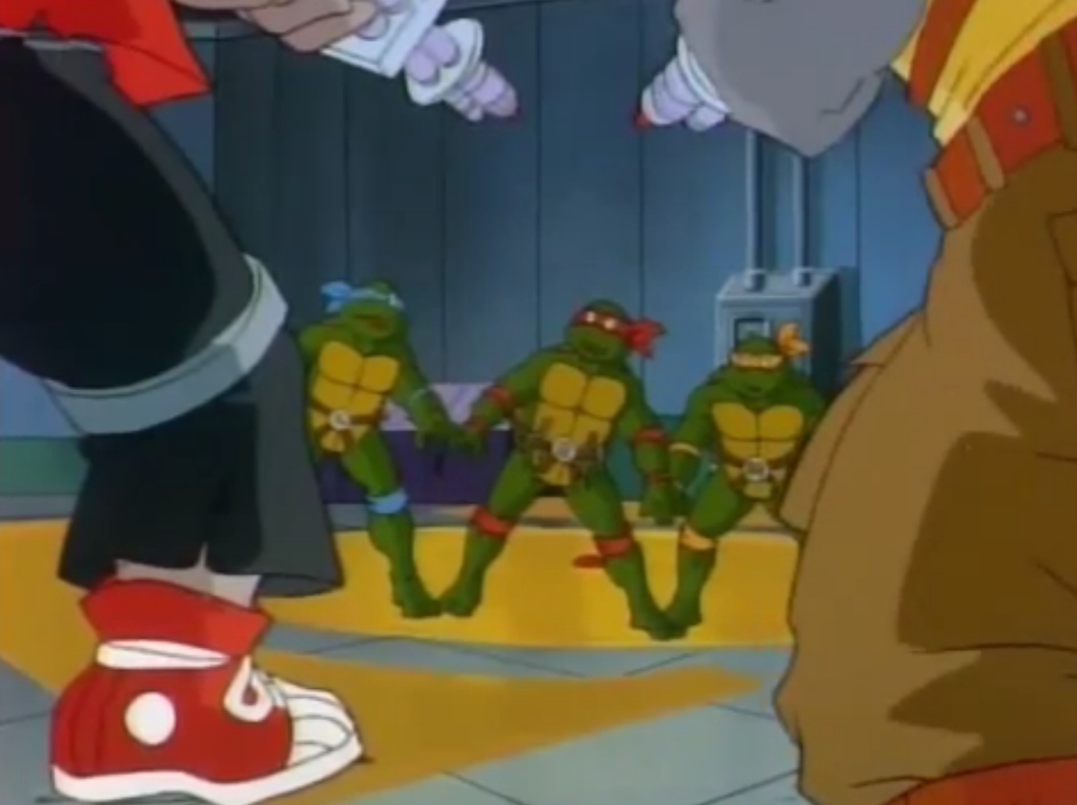 Teenage Mutant Ninja Turtles Season 5 (1991)