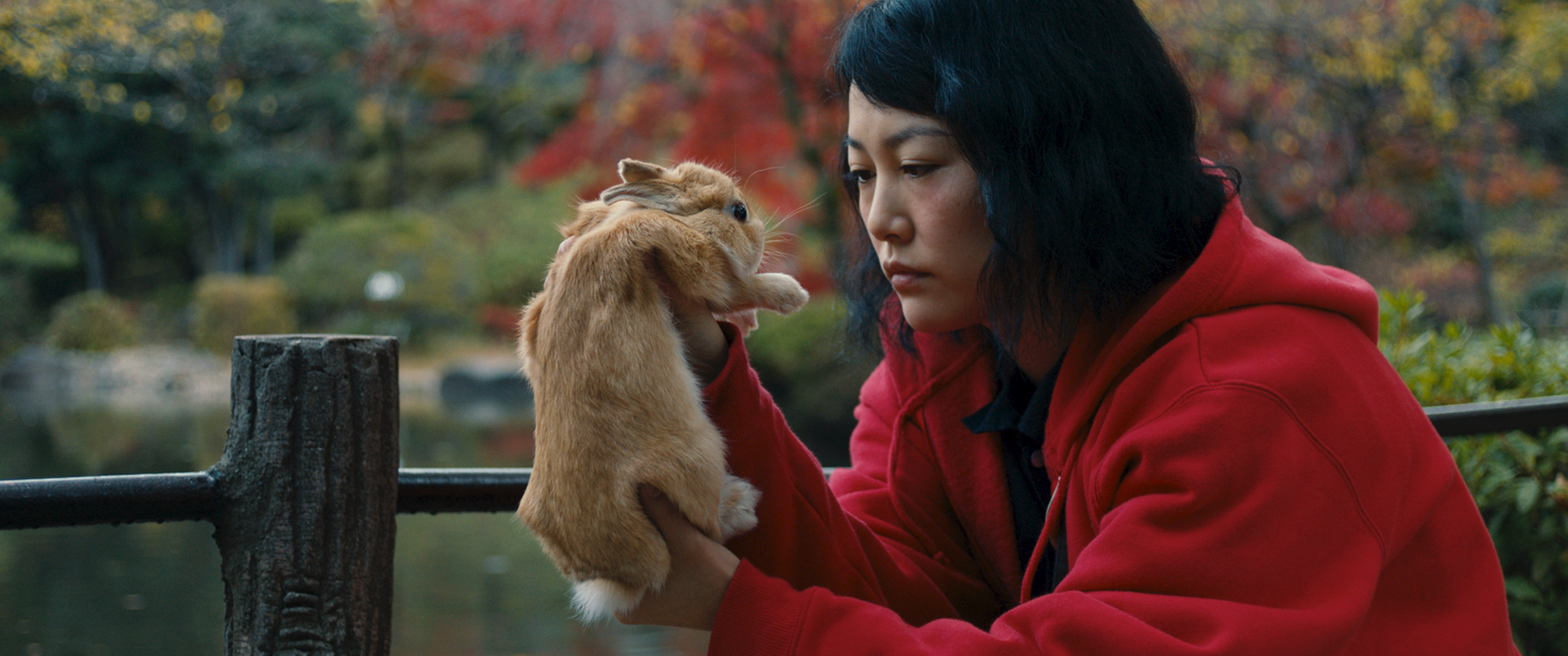 Kumiko, the Treasure Hunter Movie Review