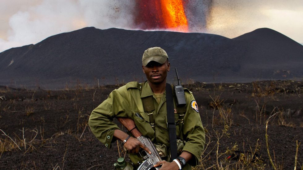 Virunga Movie Review