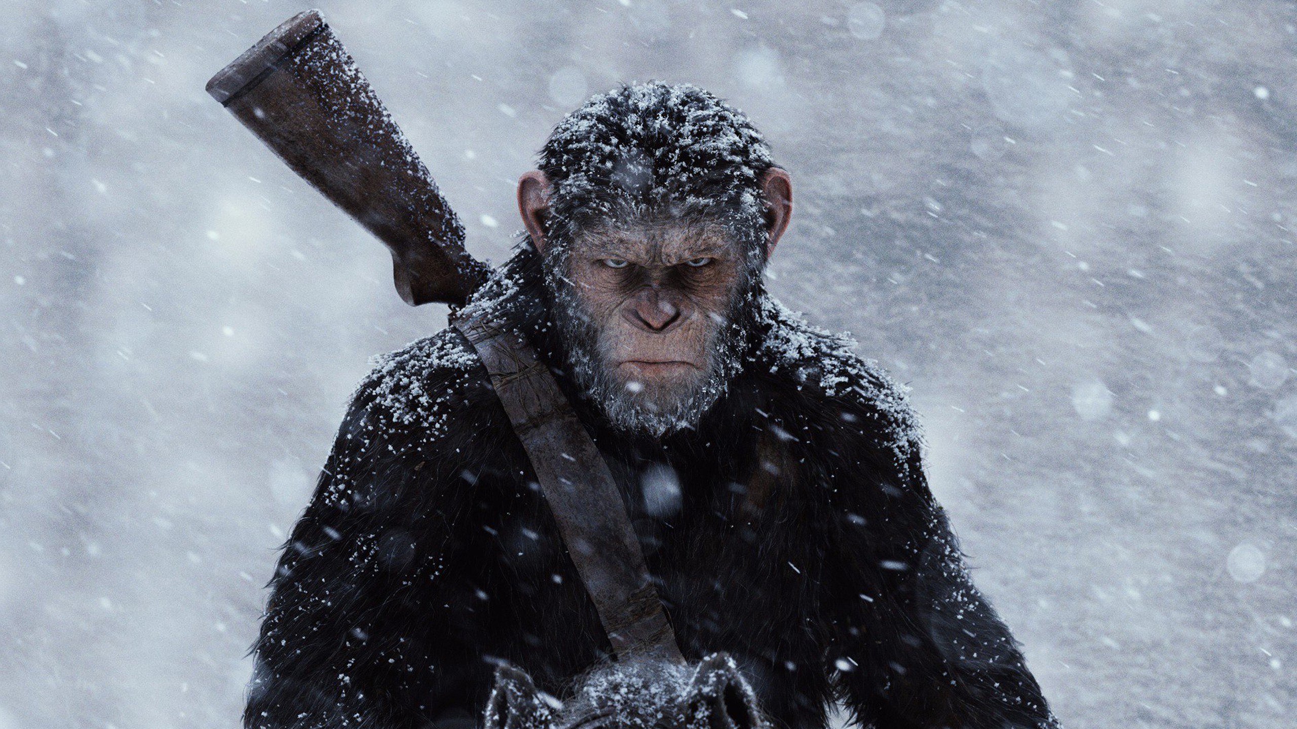 War for the Planet of the Apes Movie Review