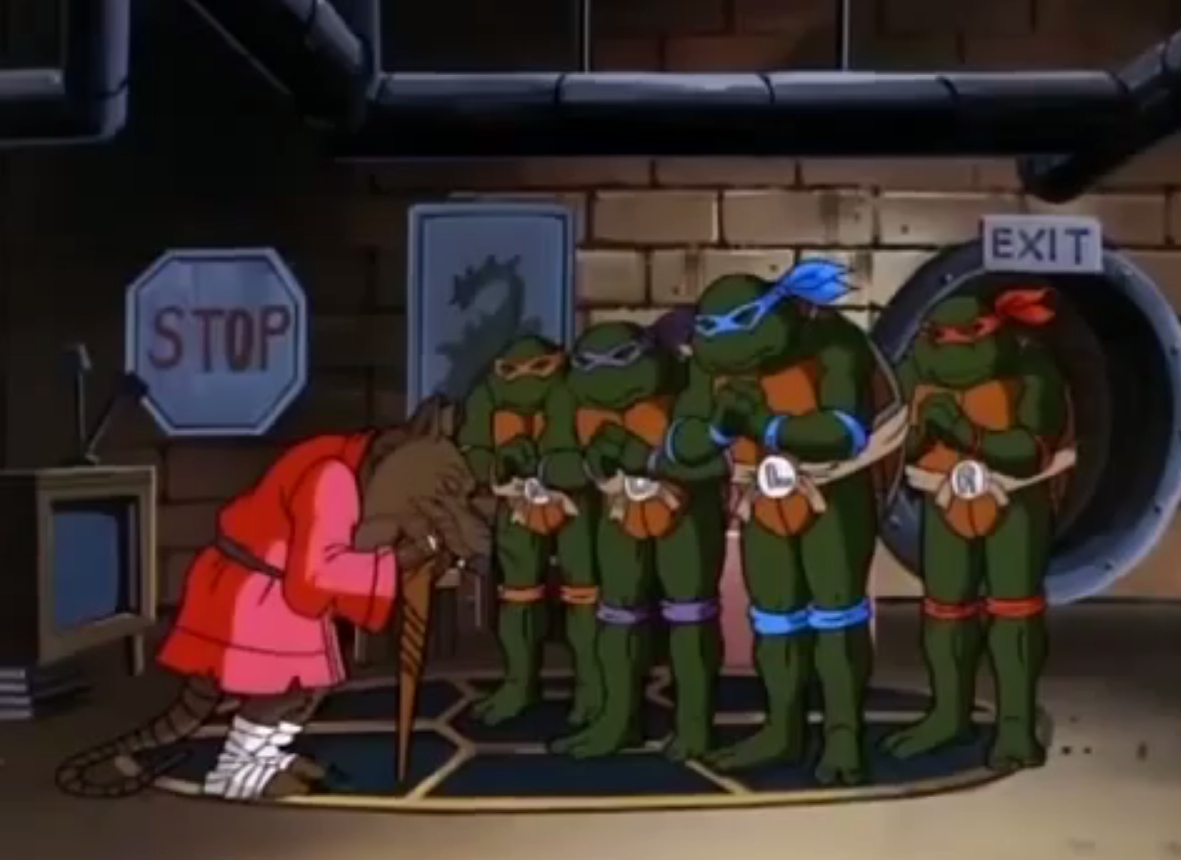 Teenage Mutant Ninja Turtles Seasons 8-10 Review