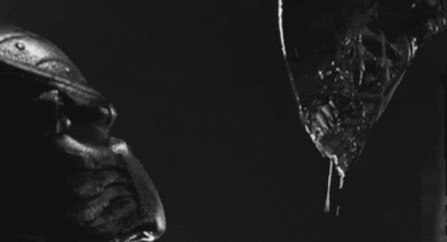 Alien vs. Predator Movie Review