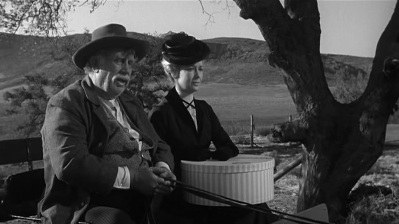 The Man Who Shot Liberty Valance Movie Review