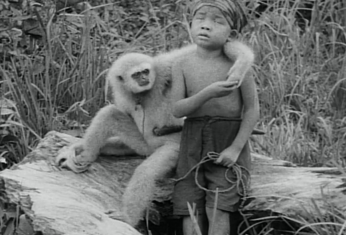 Chang: A Drama of the Wilderness (1927)