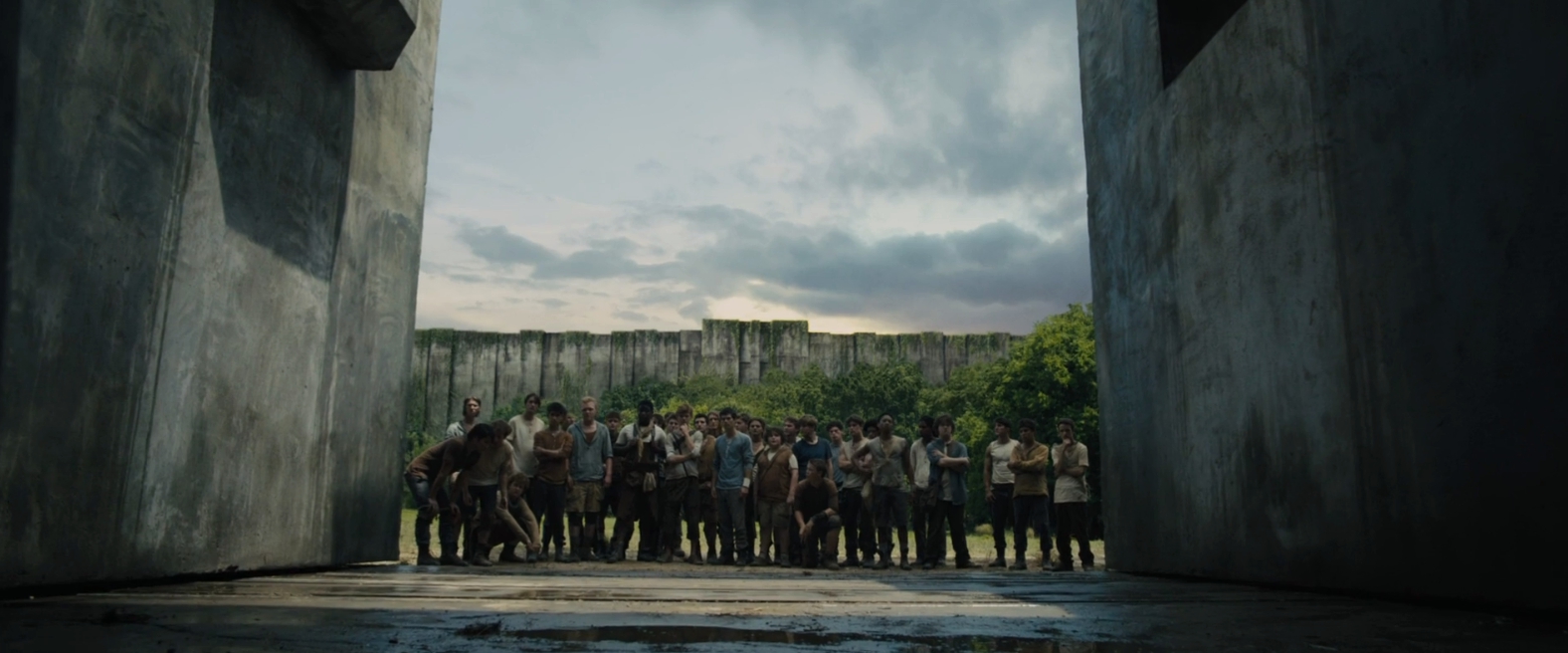 The Maze Runner Movie Review