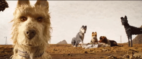 Isle of Dogs Movie Review