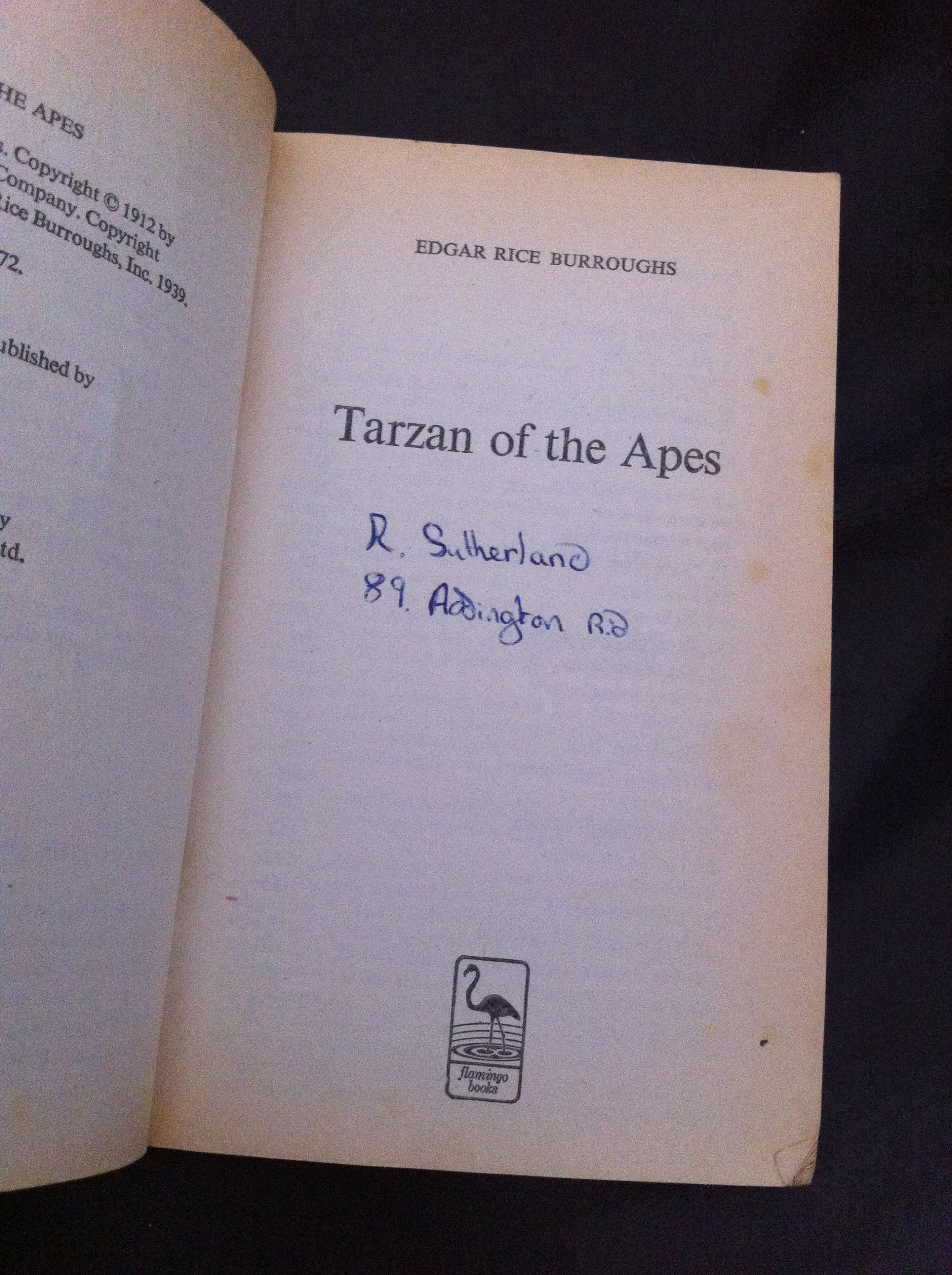 Tarzan of the Apes Book Review