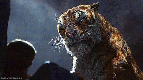 Mowgli: Legend of the Jungle Movie Review
