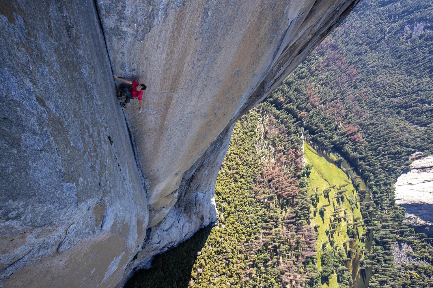 Free Solo Movie Review