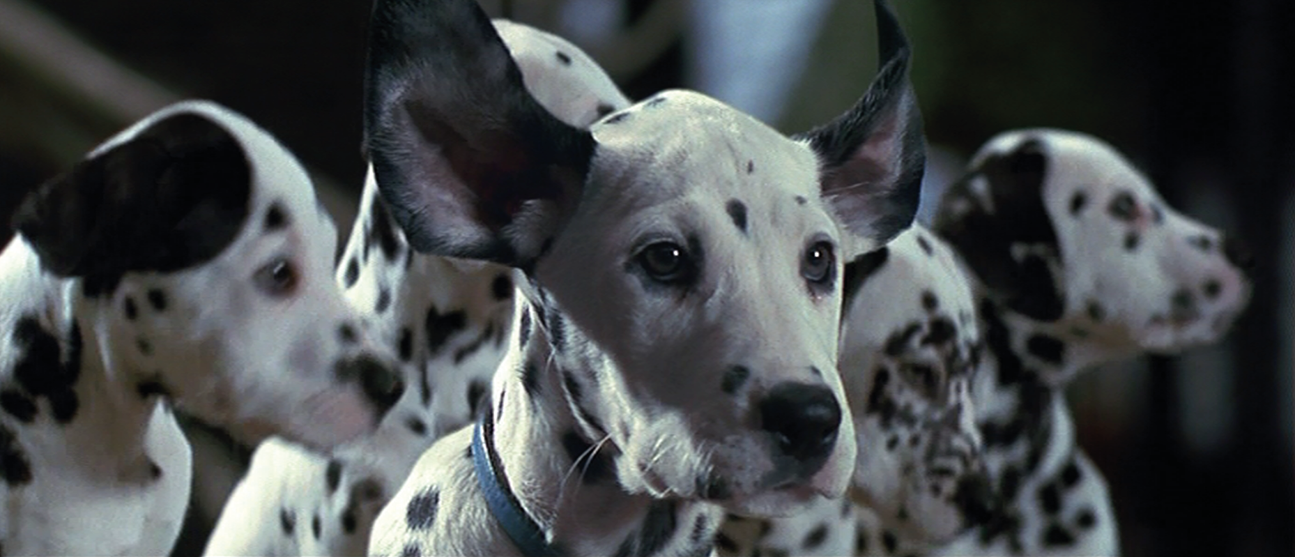 101 Dalmatians Movie Review