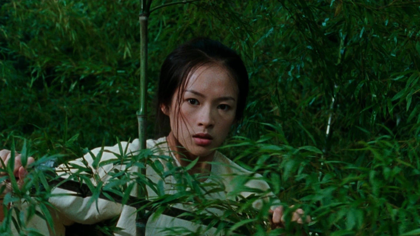 Crouching Tiger, Hidden Dragon Movie Review