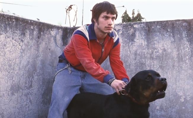 Amores perros Movie Review