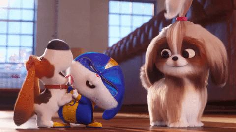 The Secret Life of Pets 2 Movie Review