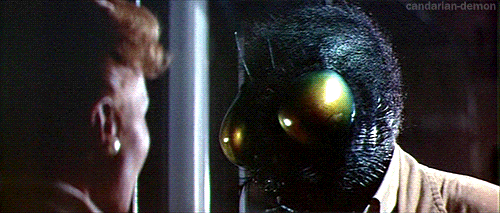 The Fly Movie Review