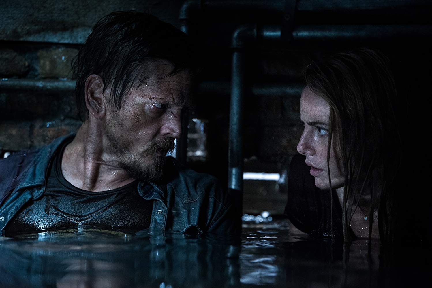 Crawl Movie Review