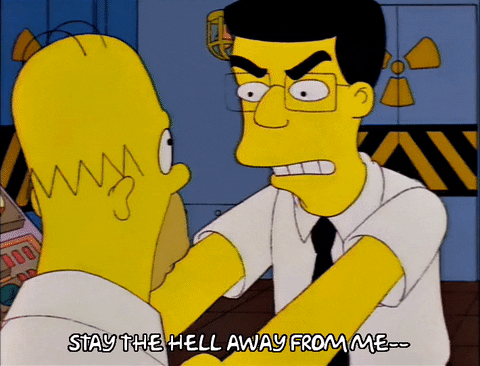 The Simpsons Season 8 (1996)