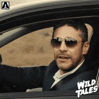 Wild Tales Movie Review