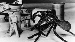 The Incredible Shrinking Man Movie Review