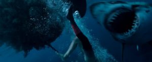 The Shallows Movie Review