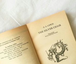 The Silver Chair Book Review