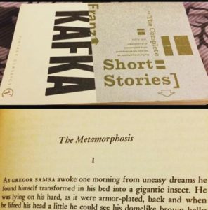 The Metamorphosis Book Review