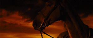 War Horse Movie Review