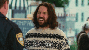 Our Idiot Brother Movie Review
