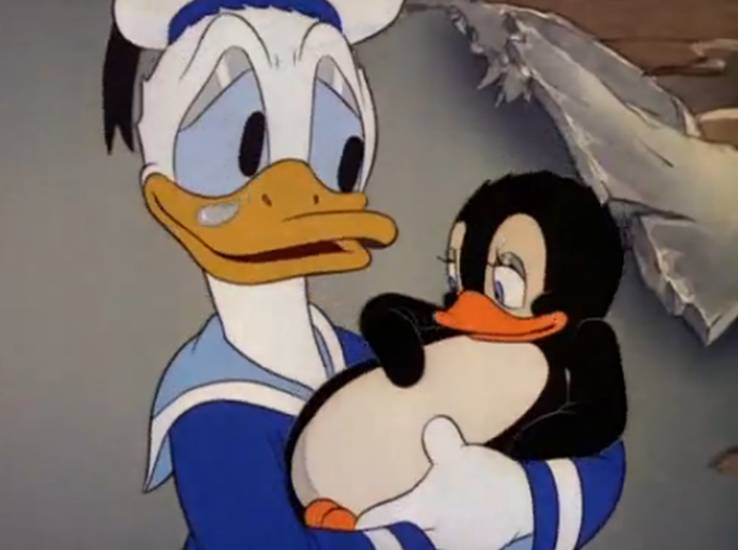 Donald’s Penguin Review