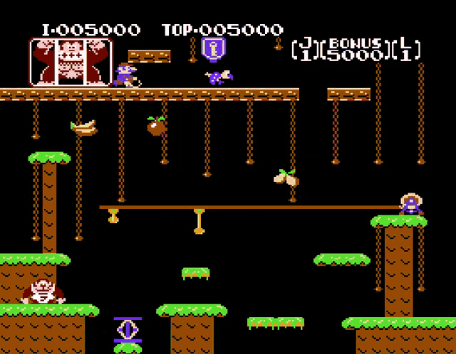 Donkey Kong Jr. Game Review