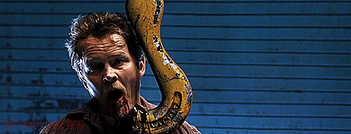 Final Destination 5 Movie Review
